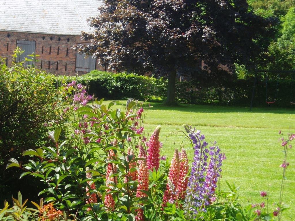 Hotel Bach y Graig St Asaph Zimmer foto